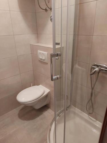 a bathroom with a toilet and a shower stall at Apartments Katica in Rab