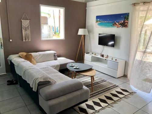 Zandoli Cottage في Les Galets: غرفة معيشة مع أريكة وتلفزيون