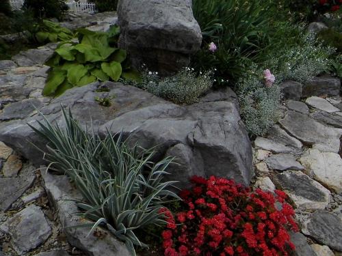 a rock garden with flowers and plants at B&B Eva in Ičići