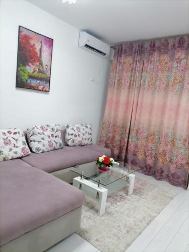- un salon avec un canapé et une table dans l'établissement Militari Residence 2 camere, à Roşu