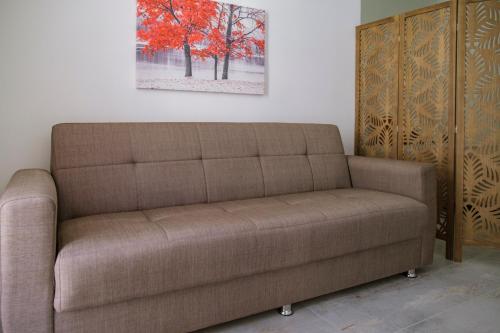 a brown couch in a room with a painting on the wall at La Petite Erika in Avola