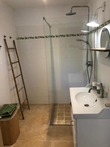 y baño con lavabo y ducha. en Chambre hôtes Les Garrigues CUCURON, en Cucuron