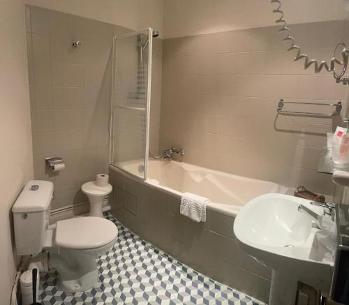 a bathroom with a toilet and a tub and a sink at Hotel Regina in Saint-Nectaire