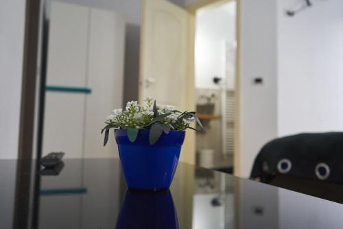 a blue vase with flowers sitting on a table at Casa Sofia in Borsa