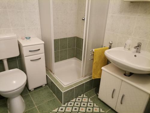 uma casa de banho com um WC, um lavatório e um chuveiro em Edina-ház em Balatonboglár