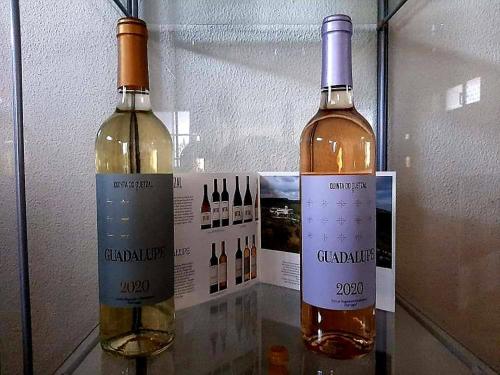 two bottles of wine sitting on top of a table at Hospedaria São João in Vidigueira