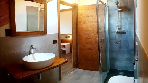 La salle de bains est pourvue d'un lavabo et d'une douche. dans l'établissement Camping Canè in Fiore, à Baselga di Pinè