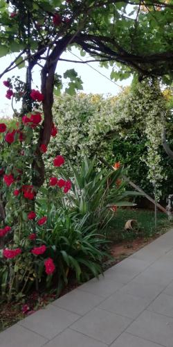a garden with red flowers and a tree at Villetta Dote in Casarano