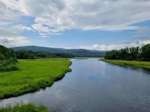 a view of a river with grass and trees at Apartmán Pod Hochfichtem in Nová Pec