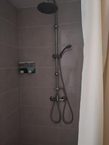 a shower with a shower head in a bathroom at Stars Livezeni in Ivăneşti
