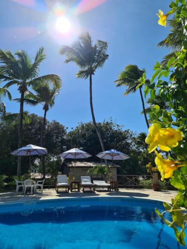 a pool with chairs and umbrellas and palm trees at Chalé 17 - Porto do Sol - Pipa in Pipa
