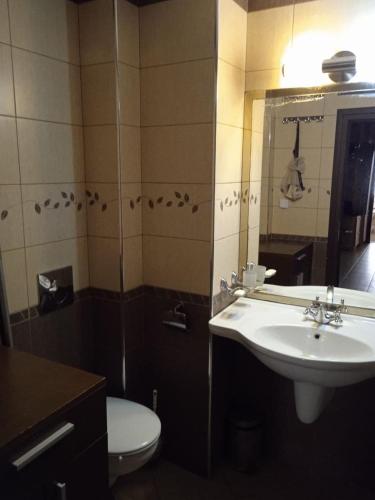 y baño con lavabo, aseo y espejo. en Джессика апартмент, en Veliko Tŭrnovo