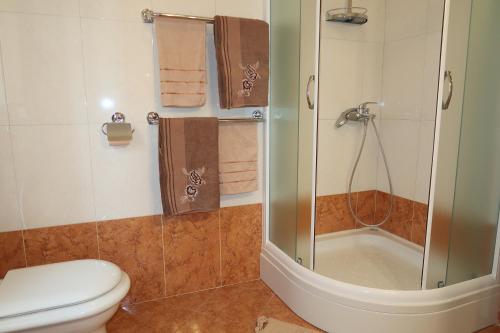 a bathroom with a shower and a toilet and a sink at Nikas1 Rabac in Rabac