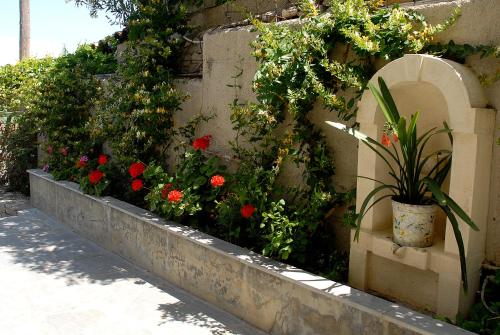 a garden with flowers and plants on a wall at Bellevue Apartments in Sitia