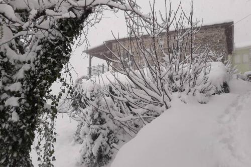 a bush covered in snow next to a house at Traditional Stone House in Kissos Pelion in Kissós