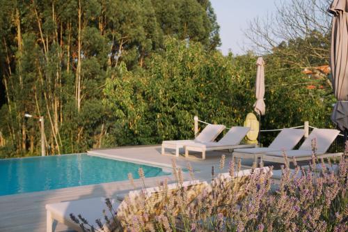 einen Pool mit 2 Liegestühlen und einem Sonnenschirm in der Unterkunft Casa Rural El Abuelo de Arcos - Only Adults in Meis