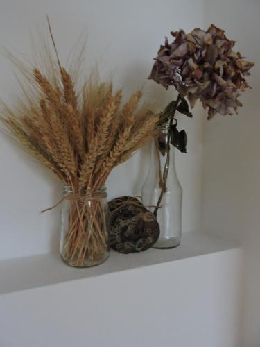 two vases with dried flowers sitting on a shelf at Apartmán Fryšava pod Žákovou horou in Fryšava