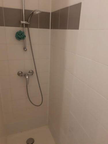 une douche avec pommeau de douche dans une salle de bain dans l'établissement Magnifique logement entier T2 vieux port, à Marseille