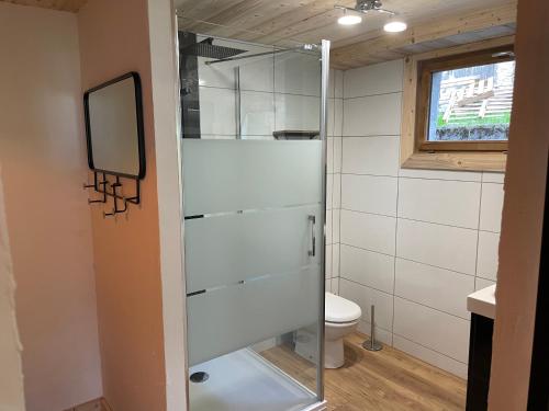 Entremont的住宿－Le chalet des rêves - La Roche Blanche，一间带卫生间和镜子的浴室