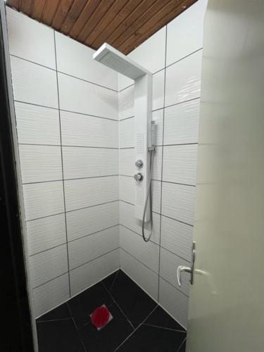 a bathroom with a shower with a black floor at HOSTEL LOVELY ROOMS CITY CENTER, shared Bathroom in Villach