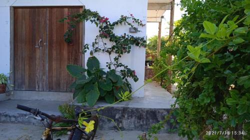 Ảnh trong thư viện ảnh của Casa Liria Gael - Kite Is Surf School ở Jericoacoara