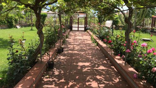 a walkway in a garden with flowers at Alma Migrante bed&wine in Telese