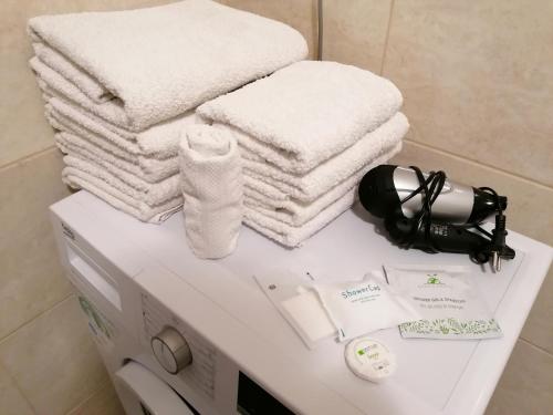ママイアにあるAristocracy Summerland Apartmentの洗濯機の上に置いたタオル