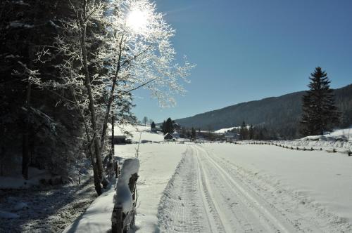 a snow covered road with footprints in the snow at Apartments Bogensperger in Mariapfarr