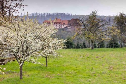 a tree in a field with a house in the background at Maison Privilège Nature à La Petite Pierre in La Petite-Pierre