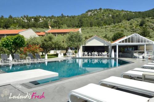 a large swimming pool with lounge chairs in a resort at Louloudis Fresh-Adults Only in Skala Rachoniou