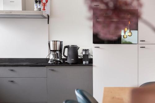 Dapur atau dapur kecil di Appartement Waterrijck Sneekermeer, Sneek - Offingawier