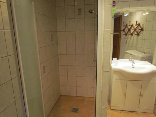 a bathroom with a sink and a shower at Gîte Hubersent, 4 pièces, 10 personnes - FR-1-376-94 in Hubersent