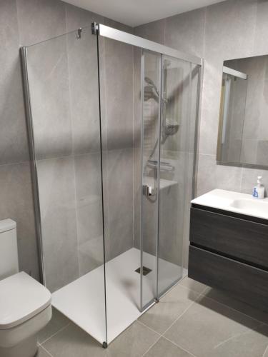 a shower in a bathroom with a toilet and a sink at Casa Jauregui in Ibilcieta