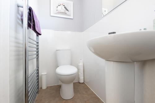 a bathroom with a white toilet and a sink at Dryburgh Apartments No2 in Inverness