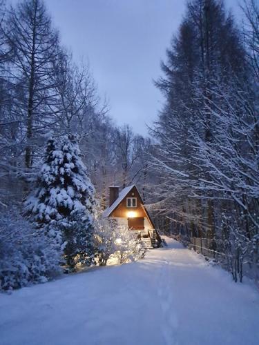 a cabin in the snow with snow covered trees at Leśny Zakątek in Dębica