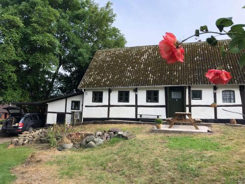 a white and black house with a red flower at Gæstehus Nyord in Nyord