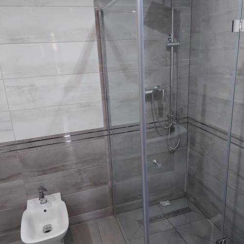 a bathroom with a shower with a toilet and a sink at Szewnia Dolna in Szewnia
