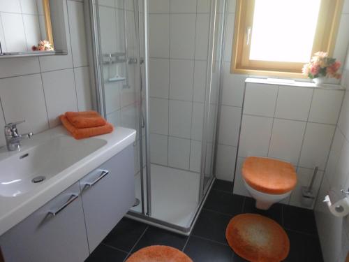 a bathroom with a shower and a toilet and a sink at Ferienwohnung Jasmin in Fiesch
