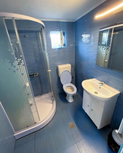 a bathroom with a toilet and a shower and a sink at Pensiunea Ramona in Brezoi