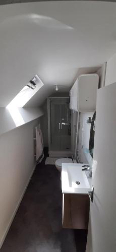 Habitación con baño con lavabo y aseo. en La Gâtinaise, en Châtillon-Coligny