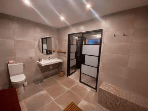 een badkamer met een wastafel, een toilet en een spiegel bij La perle rouge A Panazol in Panazol