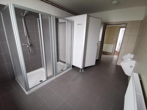 a bathroom with a walk in shower and a glass shower stall at Hotel Labská bouda in Horni Misecky