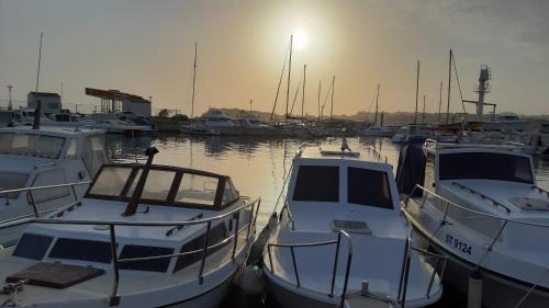 a group of boats are docked in a harbor at Apartments Babic in Podstrana