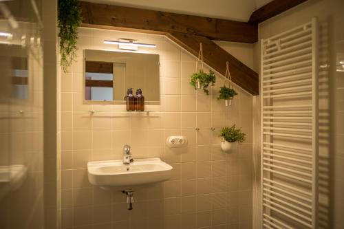 een badkamer met een wastafel en een spiegel bij Klein Soestdijk in Veenhuizen