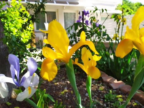 BHH BOLOGNA HOLIDAY HOME private Garden Reserved Parking -wwwbolognaholidayhomecom- house garden parking photo 44
