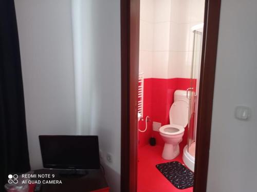 a small bathroom with a toilet and a television at Pensiunea Lucy in Sinaia
