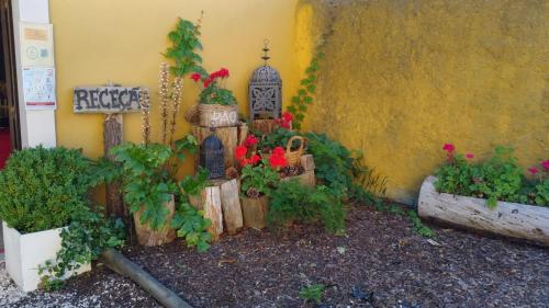 a model of a garden with flowers and a bird house at Casa De Campo Colmeal in Mira