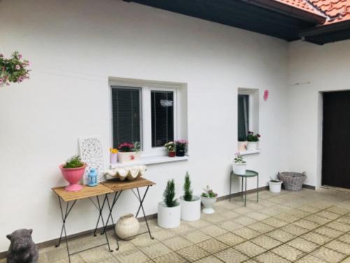 Foto sihtkohas Napajedla asuva majutusasutuse Domek mezi domky galeriist