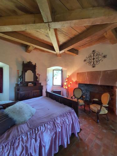 um quarto com uma cama grande e uma lareira em Chambre d'Hôtes au Château de Belcastel em Belcastel