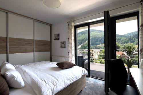 シュチルクにあるApartamenty Sunのベッドルーム1室(ベッド1台、大きな窓付)